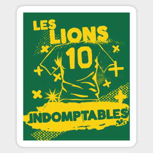 Vintage Cameroon Football // Retro Grunge Cameroon Soccer Sticker